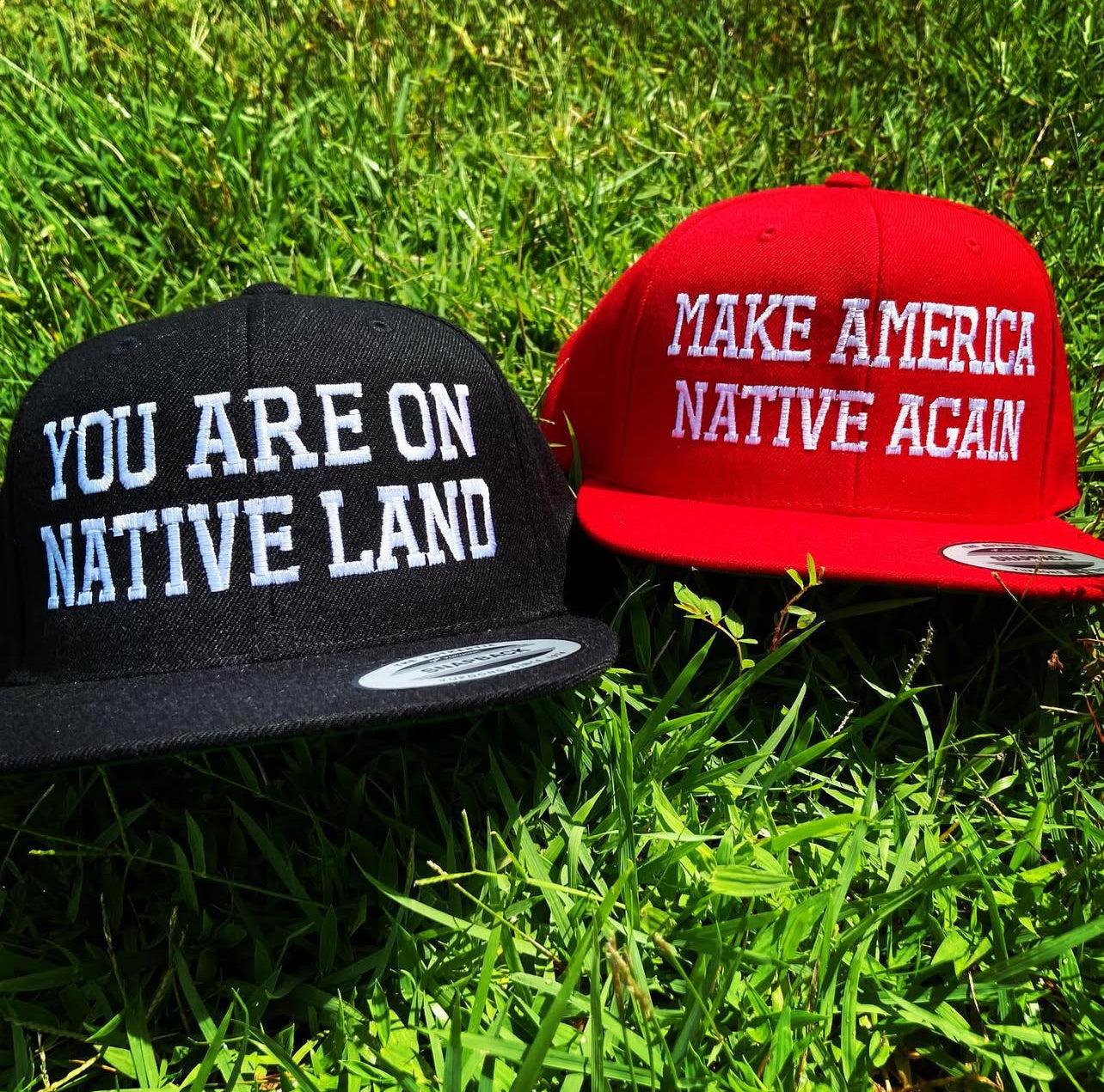 You are on Native Land