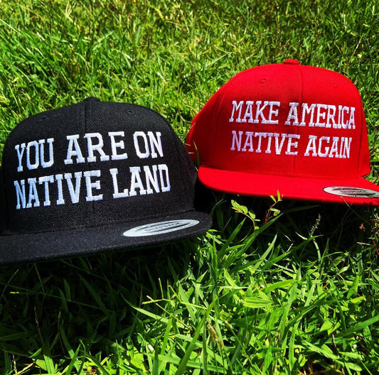 You are on Native Land
